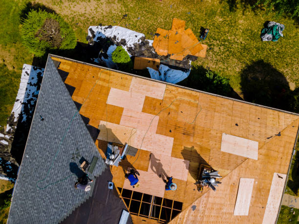 Best Emergency Roof Repair  in Lexington, MO